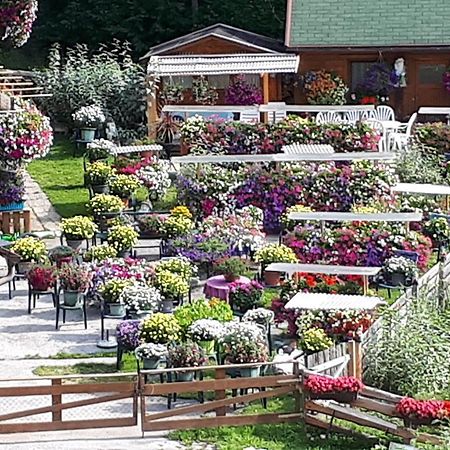 Appartement Planaiblick Schladming Bagian luar foto