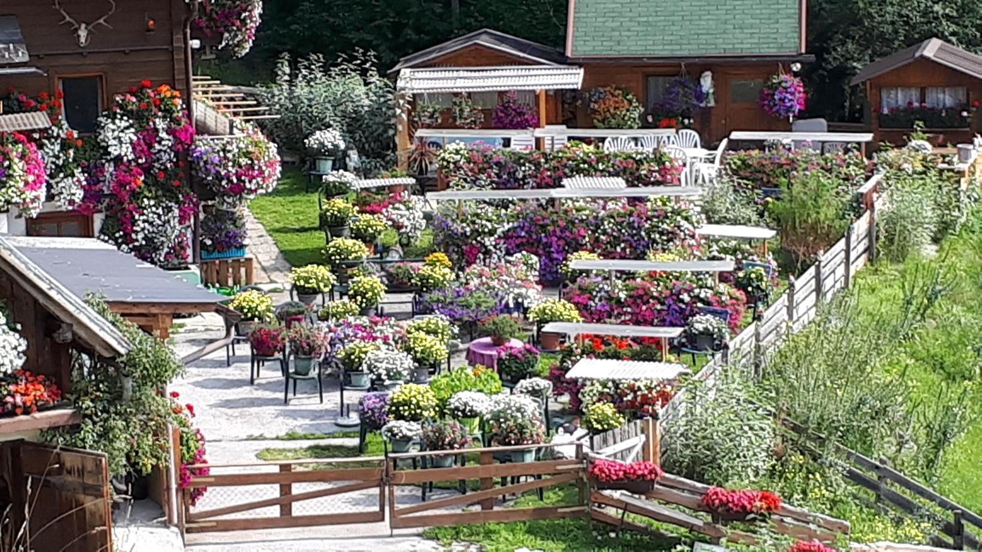 Appartement Planaiblick Schladming Bagian luar foto